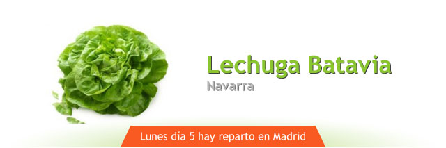 Lechuga Batavia, la unidad (Navarra)
