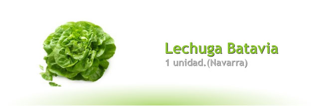 Lechuga Batavia, la unidad (Navarra)