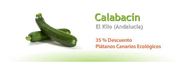 Calabacin, el Kg (Andalucía)