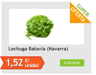 Lechuga Batavia, la unidad (Navarra)