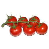 Tomates en Rama