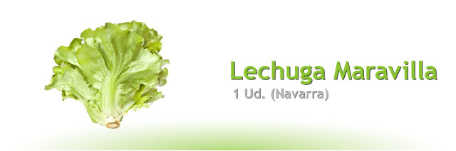 Lechuga Maravilla, la unidad (Navarra)
