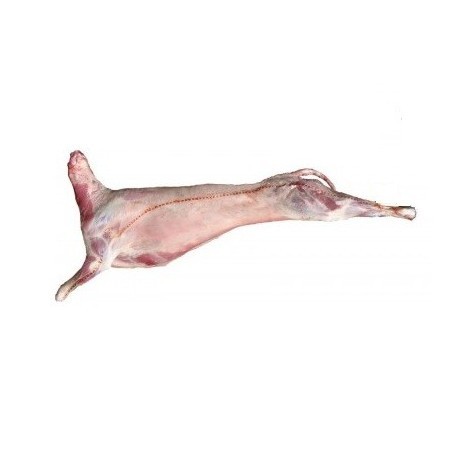 Cordero Lechazo Entero Ecológico "POR ENCARGO" , Pieza 9 Kg Aprox