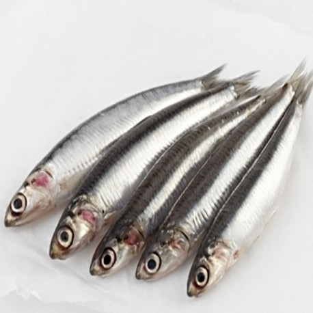 Boquerón Gordo Nacional, el Kg