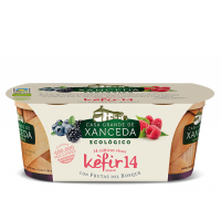 Kefir Ecológico con Frutas del Bosque 2 x 125 Gr (Casa Grande de Xanceda)