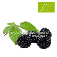 Moras, Bandeja 125 Gr...