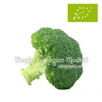 Brócoli, el Kg (Navarra)
