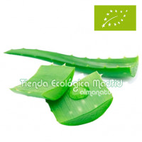 Aloe Vera, el Kg (Extremadura)