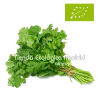 Cilantro Cortado, Bandeja...