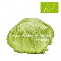 Lechuga Iceberg, la unidad (Murcia)