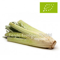 Cardo Blanco, el Kg (Zaragoza)