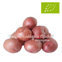 Patata Roja, el Kg (Andalucía)