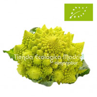 Romanescu, Pieza (Valencia)