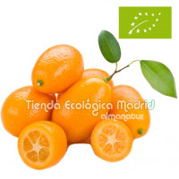 Kumquat, el Kg (Valencia)