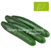 Pepino "Holandes", unidad...