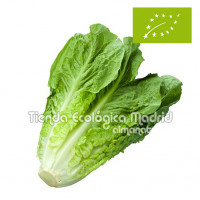 Lechuga Mini Romana, la...