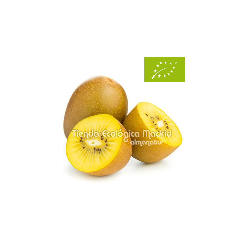 Kiwis Gold, el Kg (Italia) Kiwis Gold, el Kg (Italia)