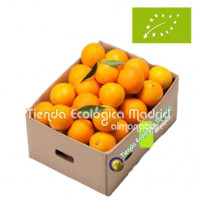 Naranjas de Zumo Ecológicas, Caja 6 Kgs (Valencia)