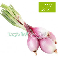 Cebolletas Rojas, el Manojo (Alicante)