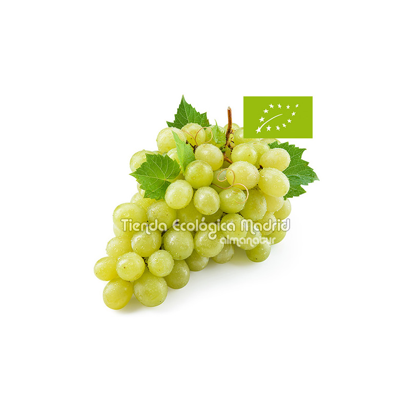 Uvas Moscatel Eco, el Kg (Valencia) Uvas Moscatel Eco, el Kg (Valencia)
