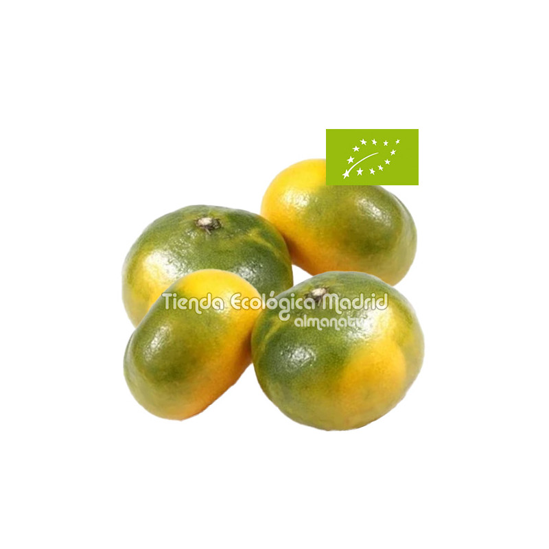 Mandarinas "Okitsu", el Kg (Valencia)