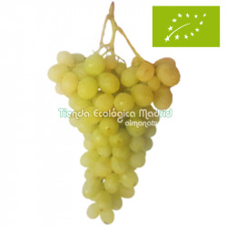 Uva Blanca Doña María, el Kg (Almería)