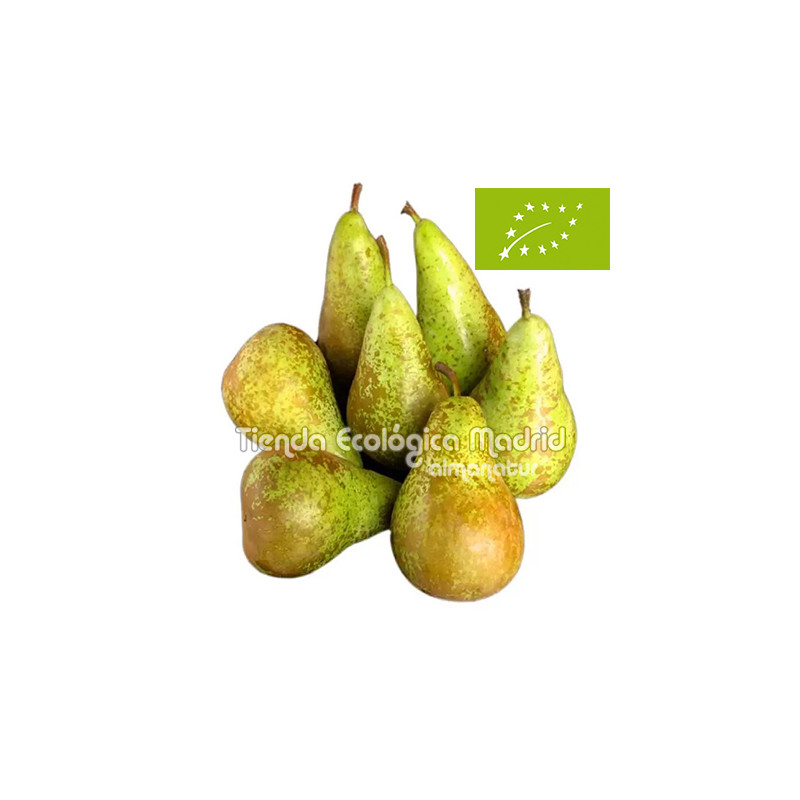 Pera Conferencia Pequeña, el Kg (Navarra) Pera Conferencia Pequeña, el Kg (Navarra)