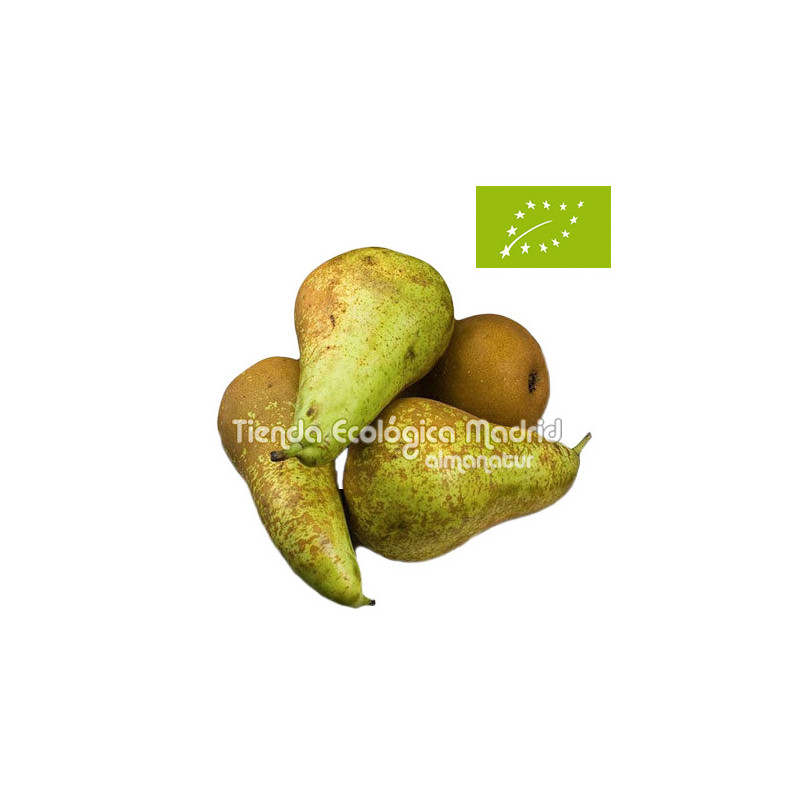 Pera Conferencia Extra, el Kg (Navarra)