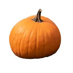 Calabaza Halloween, unidad...