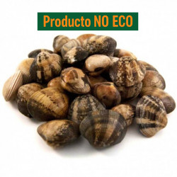 Almeja Canada Gigante, Pack 1 Kg