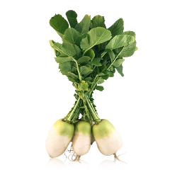 Nabos Blancos, el Manojo...