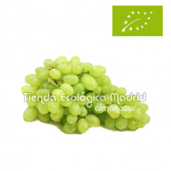 Uvas Blancas Aledo, el Kg (Valencia)