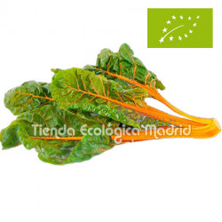 Acelgas Amarillas, el Kg (Zaragoza)