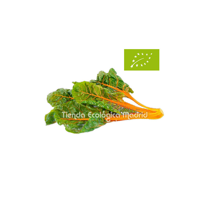 Acelgas Amarillas, el Kg (Zaragoza)