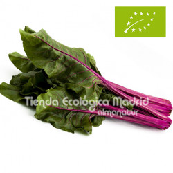 Acelgas Multicolor, el Kg (Alicante)