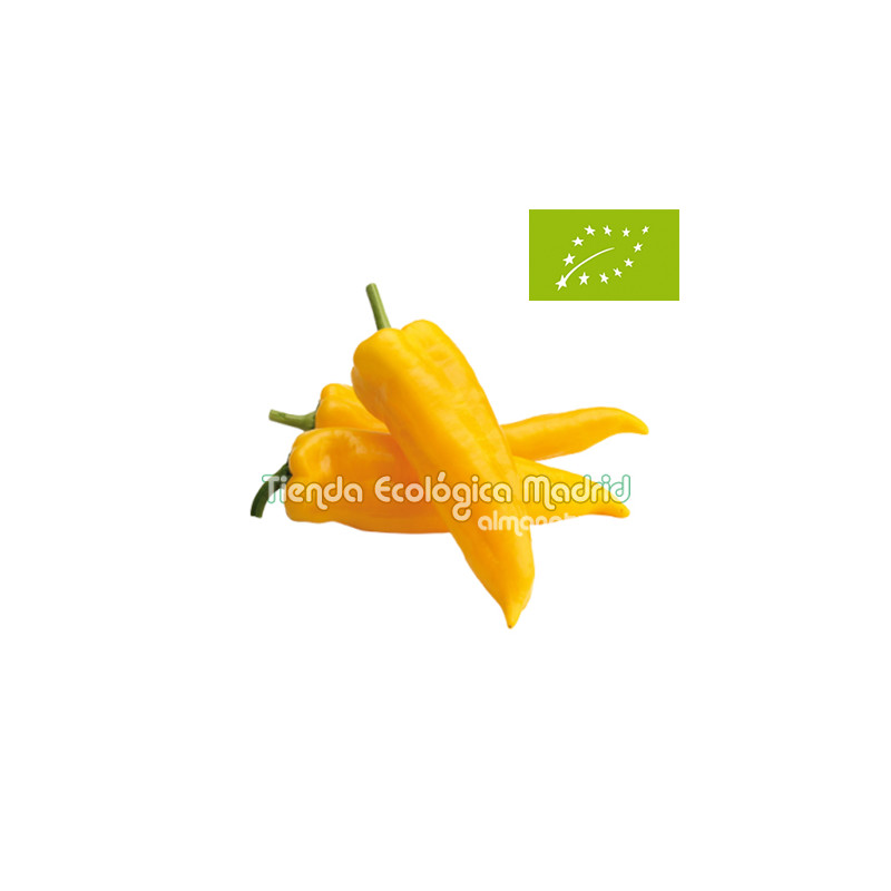 Pimiento Amarillo "Italiano", el Kg (Murcia)