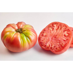 Tomate Rosa de Barbastro,...