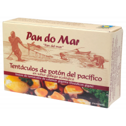 Tentáculos de Calamar en...