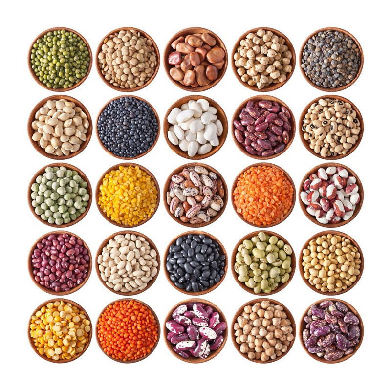 Semillas Ecológicas para Germinar | Tienda Ecologica en Madrid | Almanatur