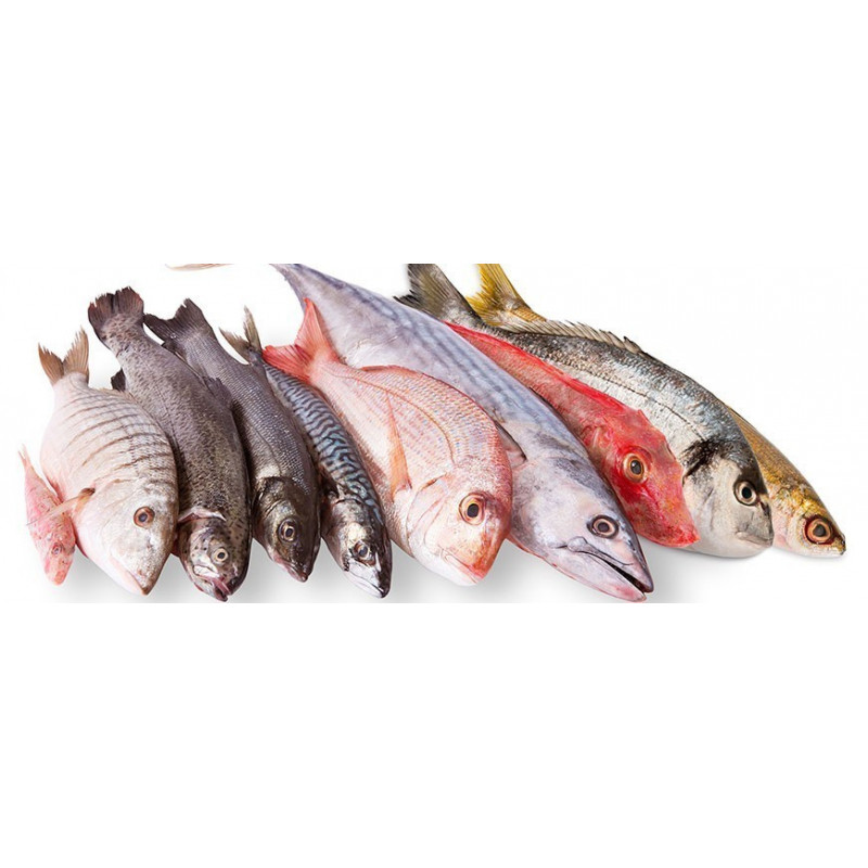 Pescados y Mariscos Salvajes