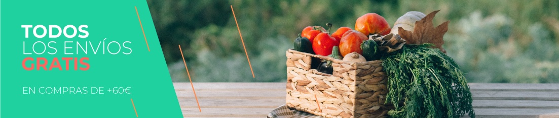 Banner_2.jpg